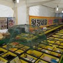 생활용품천냥