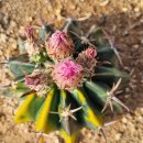 능파하우스 이미지