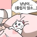 모닝과일