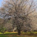 대신목장 이미지