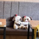 GS25전대치대점 | 2026 도대체 뭘 자꾸 처하라는 건지.. 난 이미 처하고 있는데