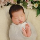 로열프린세스산후조리원 이미지