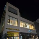 삼삼횟집 | 부산맛집 참돔 회맛집-삼삼횟집 해운대점 내돈내산 후기