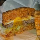 내품안의반려견광명점 | 광명 이케아 롯데몰 반려견 동반 후기 : 식사 할만한곳 아예 없음 #애견동반비추천 #동반불가 #비추후기