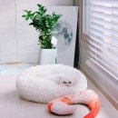 댕 빌리지 이미지