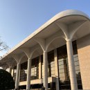 원당리(1,2,3) 노인회관 | 가족들과 보기 좋은 연극 <노인의 꿈> 관람 후기 - 춘천문화재단 기획공연