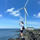 제주 올레길 14-1코스 | 제주 올레길 14코스 후기 (소요시간, 코스 구성, 정방향 역방향, 공식 안내소)