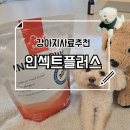 강아지 사료 알러지 비만사료추천 인섹트플러스 급여 후기