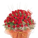 아람동물병원 이미지