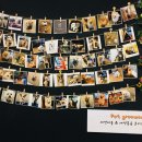 코아애견 이미지