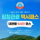평창 이미지