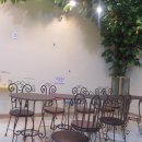 에덴미어캣프랜즈 이미지