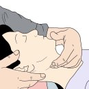 ＜롤핑자세연구소＞ 6월 FI2 신경가동술과 신경혈관근막 이완요법 세미나 안내 이미지