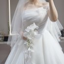 송죽미용실 | 대구 드레스투어 더럭스에디션 워킹 해택