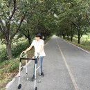 남하심소정 이미지