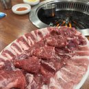 청오돼지들의세상 이미지