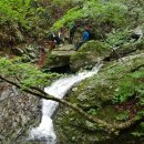 참새미골 이미지