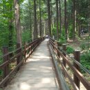 농월정야영장 이미지