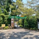 볕이드는곳 벧디 제주 <b>볕이</b> <b>드는</b> <b>곳</b>. <b>벧디</b>(내돈내산인 듯 내돈내산 아닌 내돈내산 같은 후기 25.5.26.)