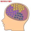 일본에서 유행중인 뇌속 메이커 (캇툰+뉴스) 이미지