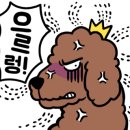 몽블링 이미지