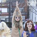 레인보우 이미지