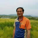 여주-0853 이미지