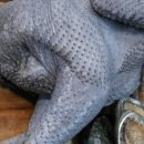 정일품농장 이미지