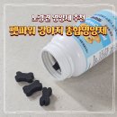 세이프토탈 | 노령견 반려동물 종합영양제 추천 펫파워 강아지 종합 영양제 솔직 후기