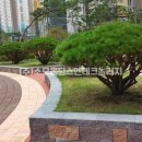 플랜터 이미지