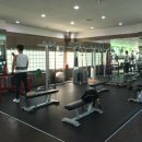 월드피아 헬스 이미지