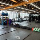 스파렉스 이미지