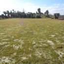 상모리-1 이미지