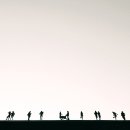 중앙시장1 이미지