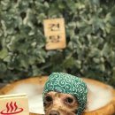 온블리살롱 이미지