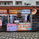 여왕곰장어 이미지