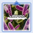 드림메디 임승길내과의원 이미지