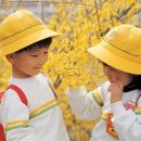 이벤트플랜 이미지