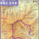 황매산가든 이미지