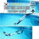 프리랑 | 초보자도 인어공주 만드는 전주 데몬 프리다이빙 후기 인생샷