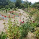 야생화펜션 이미지