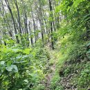 김삿갓면-21 이미지