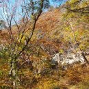 은혜흑염소 이미지