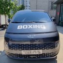 변교선 대전복싱클럽 이미지