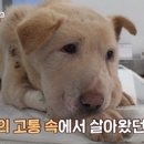 봉희농장 이미지