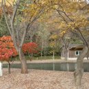 연못들3 | 부산근교가을캠추천 경주명수원연못3번 2박후기 추천후기 경상도단풍캠명소 단풍캠핑추천