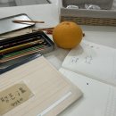 평온:溫 | [제주 숙소] 제주 중문 독채 감성숙소 평온 바깥채 후기(에어비앤비 숙소, 내돈내산, 실내 자쿠지, 귤밭...