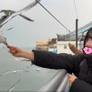 팡팡경품게임장 | [인천여행 2탄] 월미도 200% 즐기는 법: 길거리 주차 &amp; 게임 경품 꿀팁 (ft. 80대 할머니 바이킹)