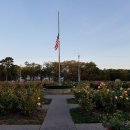 장미공원C 이미지