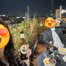 다이애나 | 로마 테르미니역 근처 4성급 호텔 다이애나 루프 가든 3박 후기 (룸, 조식, 루프탑)
